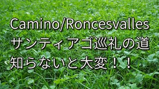 【サンティアゴ巡礼の道】2　ピレネー越えのあとの村ロンセスバリェスで前泊！カミーノ・デ・サンティアゴ