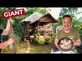 Philippines GIANT SEAFOOD (Lobster, Crayfish and Forest Home in Eastern Samar!)