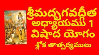 శ్రీమత్ భగవద్గీత - అధ్యాయము 1 - సంశయ - విషాద యోగం | Srimad Bhagavad Gita Telugu Chapter 1 | Slokas