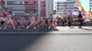 鳴子艶舞会 - 第20回 よさこい東海道オープニング演舞