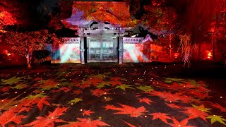 京都・高台寺【プロジェクションマッピング】　2022.12.07　　　[4K 60p APS-C]