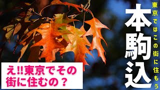 【駒込駅】【本駒込駅】【文京区】【治安ランキング一位】江戸時代から街並があり、昨今は東洋大学など多くの学校があり学生で賑わいます。その後の人生を左右する部屋探し、住み始めてわかる、【こんなはずじゃ！】