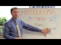 how to treat low blood sugar – 1 diet tip for hypoglycemia by dr. berg