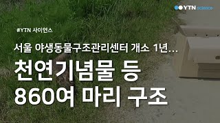 서울 야생동물구조관리센터 개소 1년...천연기념물 등 860여 마리 구조 / YTN 사이언스