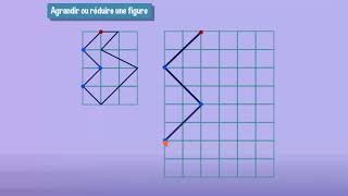 Géométrie : agrandir ou réduire une figure - CM2