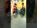 🐋வாறு வலையில் மாட்டிய மீன்கள்😱😱😱 shortsfeed fish fishing