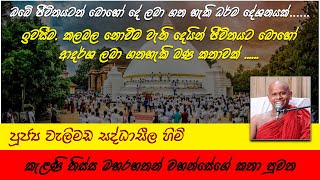 Kelanithissa Maharahathan Wahanse | කැළණිතිස්ස මහ රහතන් වහන්සේ | පූජ්‍ය වැලිමඩ සද්ධාසීල හිමි