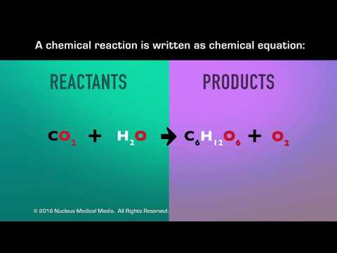 What are new substances formed in a chemical reaction?
