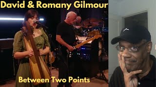 Music Reaction | David Gilmour & Romany Gilmour - Between Two Points | Zooty Reactions