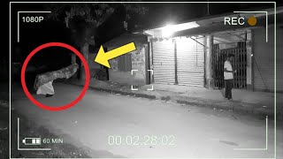 🔴 Real Monster Bird Ghost capture in CCTV Camera