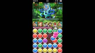 パズドラ【パズドラZコラボ】 Z級　大橋小喬 PT