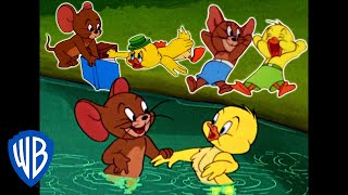 Tom \u0026 Jerry | Best of Jerry and Little Quacker | Classic Cartoon Compilation | WB Kids