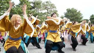 24 大阪公立大学チーム朱蘭 龍馬よさこい2024［４Ｋ］岡崎公園