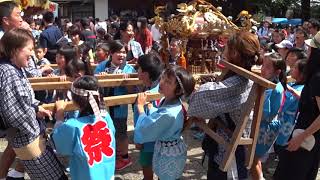 子ども神輿宮入 2017下北沢 北澤八幡神社例大祭