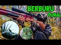 ⭕️BERBURU PUNAI || Bonus Tupai❗️