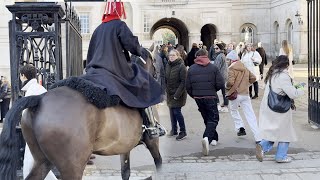 KING'S HORSE QUITS AFTER SIGHTING IDIOTS, you have to see this!