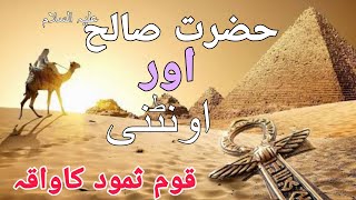 Hazrat Saleh (AS) and the Tale of Qoum-e-Samood | Islamic Stories in Urdu | Islamic Direction