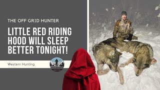 Alberta Timber Wolf Hunt: Little Red Riding Hood Will Sleep Better Tonight!  👵 🐺 WOLF | SUPER SLAM