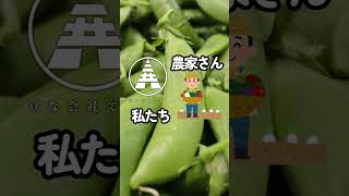 この素晴らしい野菜!スナップえんどう知ってもらいたい！#shorts #鹿児島弁 #鹿児島県