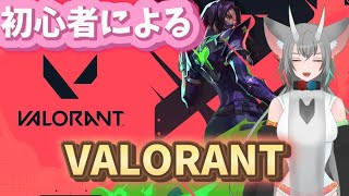 【PS5】【VALORANT 】初心者によるバロラント初心者のためのバロラント#初見歓迎#雑談配信 #VALORANT#ゲーム実況