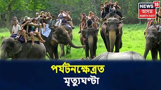 বন বিভাগৰ চৰম অমনোযোগিতা, পৰ্যটক নাই Kazirangaত