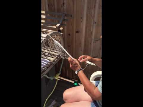 Knitting lobster trap heads by hand Knitting lobster trap heads by hand
