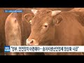 gs u0026j인스티튜트 “한우 도축두수 급증 우려···대책 시급”