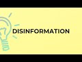 What is the meaning of the word DISINFORMATION?