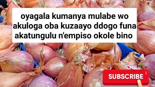 Funa akatungulu n'empiso gwe ayagala okumanya mulabe wo oba omuntu akuloga, ozeeyo eddogo