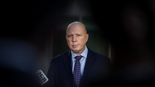 Peter Dutton should ‘get rid’ of all government DEI workers: Wild