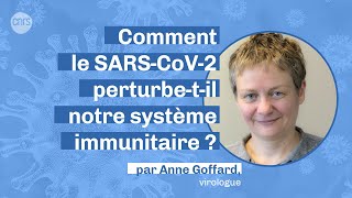 Comment le SARS-CoV-2 perturbe-t-il notre système immunitaire ? | #PodcastCNRS