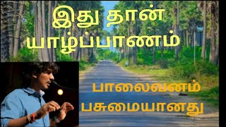 பாலைவனம் பசுமையான கதை | இது தான் யாழ்ப்பாணம் | #ealaththukural #ஈழத்துகுரல் #யாழ்ப்பாணம்