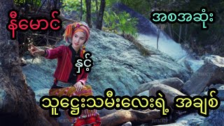 နီမောင် နှင့် သူဋ္ဌေးသမီးလေးရဲ့ အချစ် (အစအဆုံး)