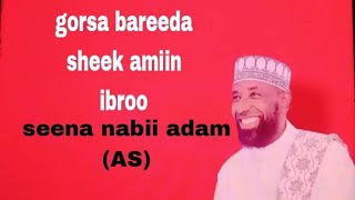 gorsaa bareeda baaba shek amiin ibroo