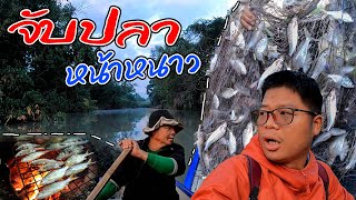 หาปลากับพ่อ EP.11 ลงข่ายจับปลา ด้วยเรือใหญ่ ได้ปลาเยอะมาก โคตรคุ้ม!! l SAN CE