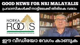 കുടുങ്ങിപ്പോയ പ്രവാസി മലയാളികൾക്ക് എങ്ങനെ നാട്ടിലേക്ക് തിരികെ വരാം ? Norka Roots By Kerala Govt