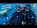 Cage Diving with SHARKS in South Africa!