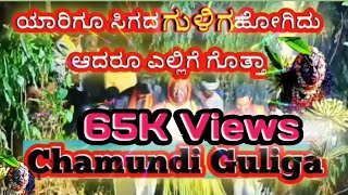 Chamundi Guliga Kola || ಗುಳಿಗ ಯಾರ ಕೈಗೂ ಸಿಗದೆ ಓಡಿದ್ದರು ಎಲ್ಲಿಗೆ ಗೊತ್ತಾ..! ||Dhota Family.