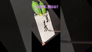 【書道】草書Japanese calligraphy