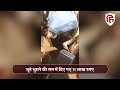 meerut delhi wedding viral video दूल्हे को ढाई करोड़ मिले जूता चुराई की रस्म पर भी लाखों खर्च