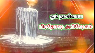 பிரதோஷ அபிஷேகம்