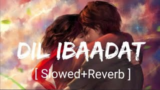 Dil Ibaadat [Slowed+Reverb]- KK | Tum Mile | Textaudio