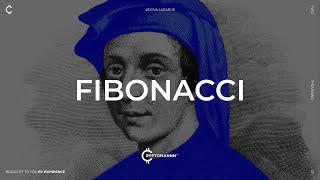 Сетка Fibonacci и зона OTE. Разбор инструментов и правила использования