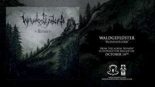 WALDGEFLÜSTER - Ruinenfelder (Official premiere 2016)