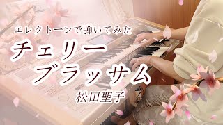 チェリーブラッサム  松田聖子  Cherry Blossoms エレクトーン