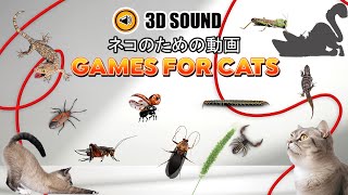 CATS TV ホーム - 猫のためのゲーム📺ゲームコレクション🪳🦗🦂🪱🐞🦎（バッテリー節約🔋）[フルHD] 5時間 3Dサウンド