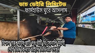 Cow farm in Bangladesh|Dutch dairy farm|ডাচ ডেইরি ফার্ম ঘুরে আসলাম |গরুর খামার|গরু পালন|গরু পরিচর্যা