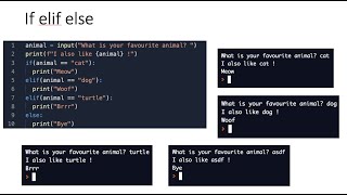 Python: Web App using Anvil, Conditionals | #2