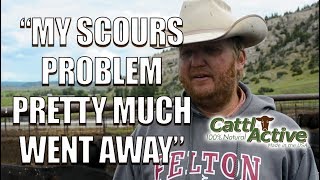 Does Your Herd Have a Scours Problem? Let Jim Felton Explain How He Dealt with It! AI for His Cows!