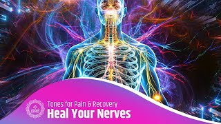 Heal Your Nerves Under the Rain | Isochronic Sounds for Pain \u0026 Recovery | Reduce Nerve Pain